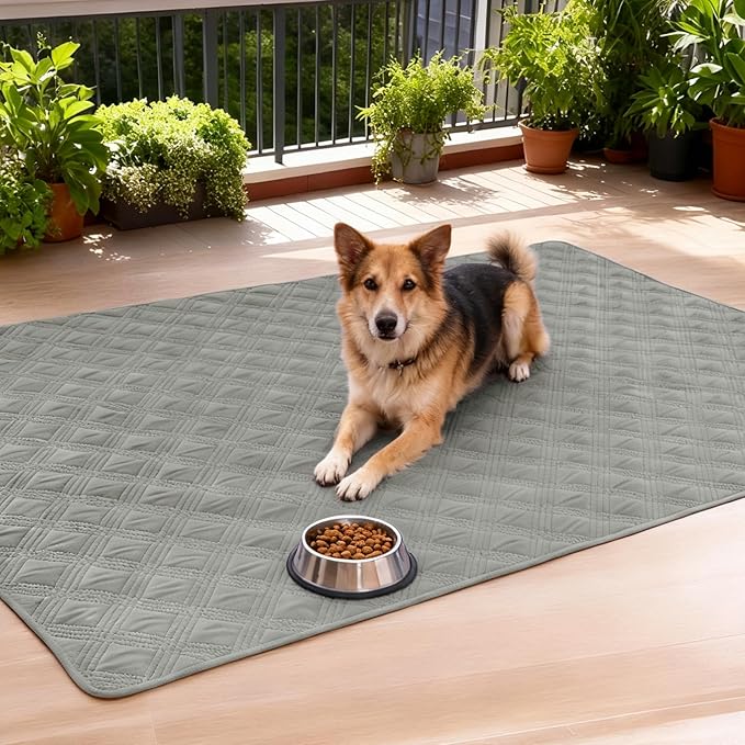 hyha Waterproof Dog Blanket, Reversible Pet Bed Blanket, Soft Sofa Couch Cover for Dogs Washable, Waterproof Pet Couch Covers for Sofa Puppy Cats Furniture Protector(30"x70", Grey/Grey)