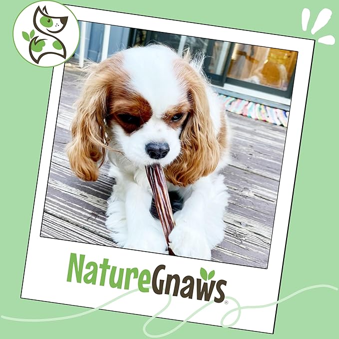 Nature Gnaws Beef Gullet Sticks for Dogs 5-6" (15 Count) - Natural Beef Jerky Stick Dog Chew Treats - Rawhide Free