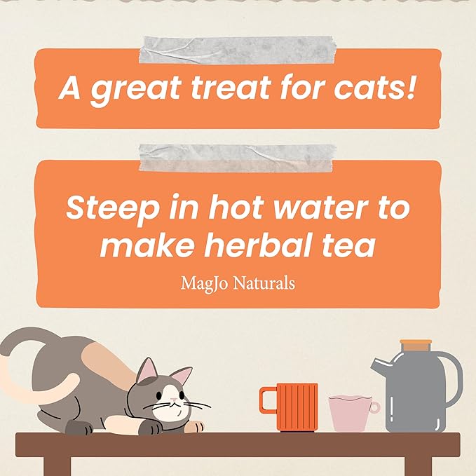 MagJo Naturals Farm Direct Catnip | Freshest Available | Bulk Bag (Half Pound)