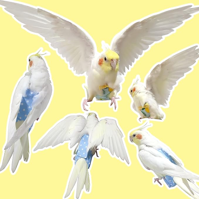 VANFAVORI Bird Diaper Harness Flight Suit Clothes with 80 Inch Flying Leash Rope for Parrots Conure Cockatiel Pet Birds Weight 80-105 Grams, M Size Blue, Including A Cotton Pad