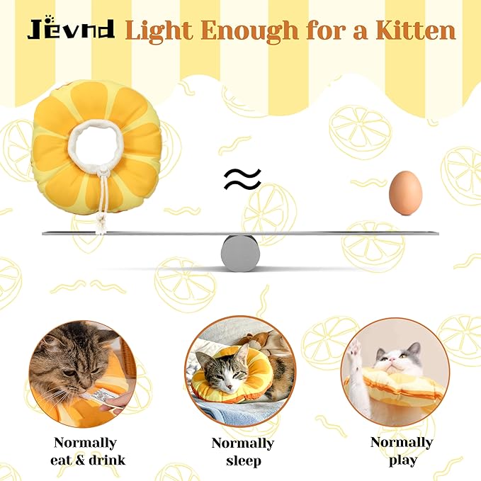 Kitten Cones After Surgery 0-6 Months, Donut Extra Small Kitten Cone Collar Soft to Stop Licking Neck, Elizabethan Kittens e Collar for Recovery, xs Small Cat Cone Spray, Pet Soft Cone for Cats