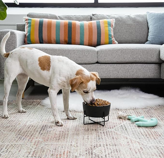 Waggo Simple Solid Dog Bowl and Stand - Single Iron Stand with Single Ceramic Feeder or Water Bowl, Elevated Pet Feeder (Small, Matte White)