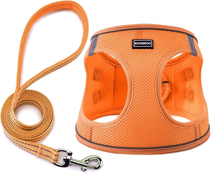 Dog Harness with Leash Set, No Pull Adjustable Reflective Step-in Puppy Pet Vest Harnesses for Small Medium Large Dogs and Cats,Orange XS