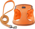 Dog Harness with Leash Set, No Pull Adjustable Reflective Step-in Puppy Pet Vest Harnesses for Small Medium Large Dogs and Cats,Orange XL