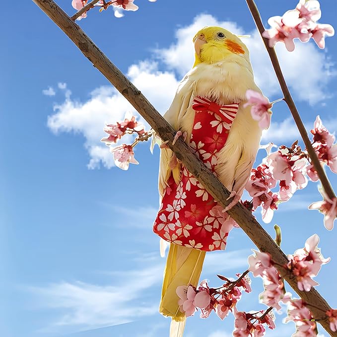 2 Pcs Bird Diapers Bird Harness Flight Suits Diapers with 80in Flying Leash Reusable Parrot Nappy with Waterproof Inner Layer for Cockatiel Budgie Conure Parakeet Lovebird-Red&Dark Blue