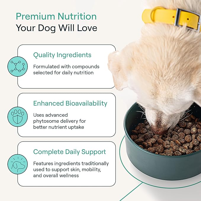 POP-Topper Dog Food Meal Toppers – Multivitamin Powder for Dogs 35 lbs & Up - Delicious Bone Broth Base with 6 Human-Grade Superfoods - Supports Joints, Gut, Skin & Coat - 30 Packets