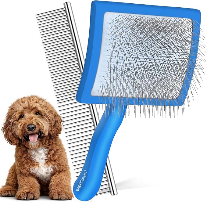 Long Pin Slicker Brush for Doodles & Poodles - 25mm Extra Long Pins Dog Brush with Stainless Steel Cleaning Comb, Solid Beech Wood Dematting Brush for Thick, Curly & Double Coats,Blue