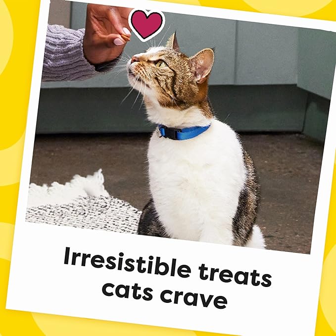 Temptations Cat Treats Classic Crunchy and Soft Cat Treats, Tasty Chicken Flavor, 48 oz. Bag