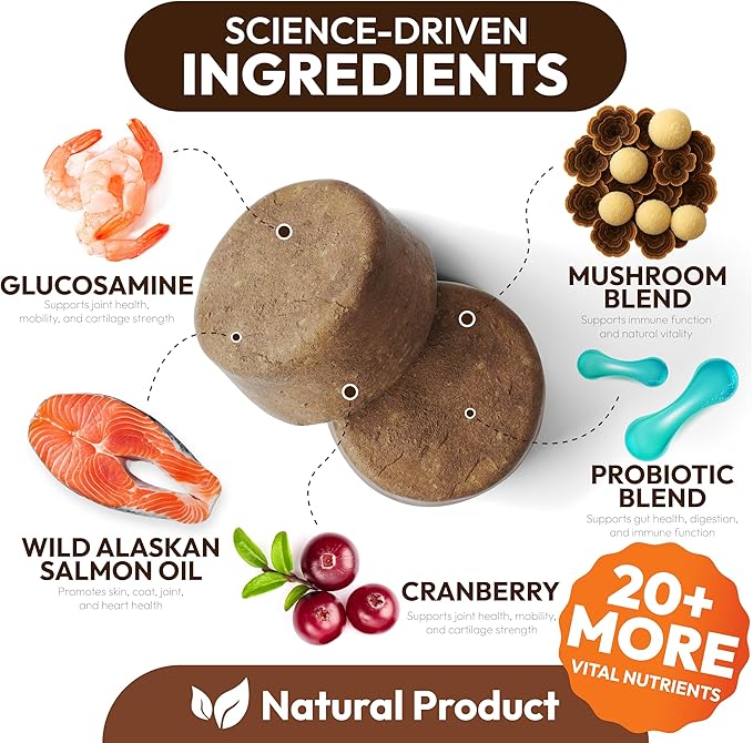 Turkey Tail Mushroom for Dogs - 250 Chews - Lion’s Mane - Shiitake - Reishi - Buddy Immune Support Guard - Lipoma Mushroom Supplement for Dogs Lumps and Bumps Glucosamine, Health Vitamins Multivitamin