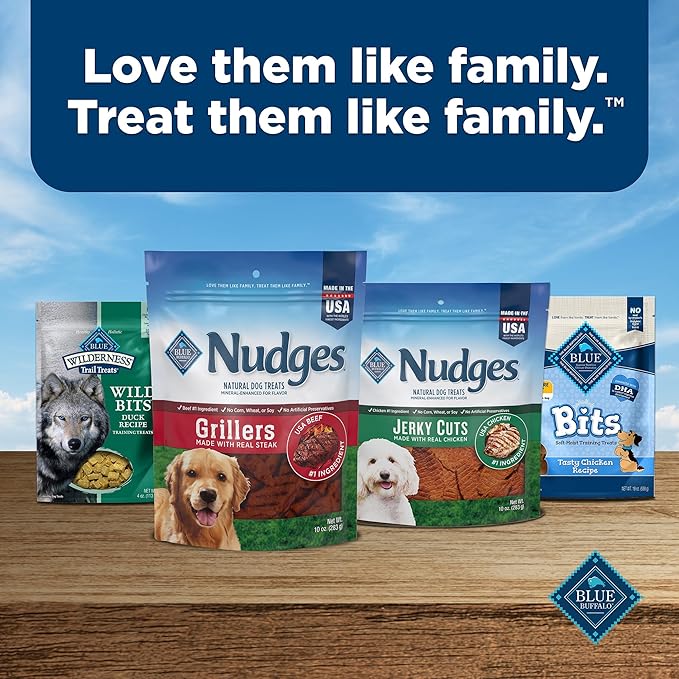 Blue Buffalo Nudges Jerky Cuts Dog Treats, Made in the USA with Natural Ingredients, Steak, 16-oz Bag