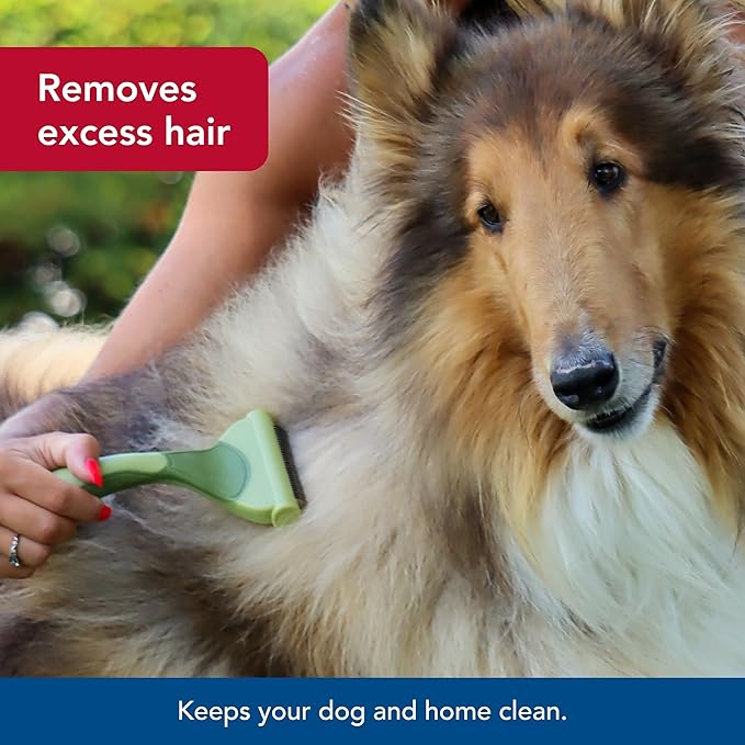 Coastal Pet Safari Shed Magic Deshedding Tool for Dogs with Medium to Long Hair - Deshedding & Detangling Dog Brush - Small