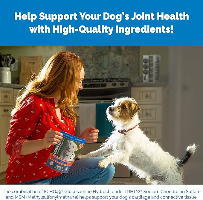 Nutramax Cosequin Single Strength Joint Health Supplement for Pets, 132 Count