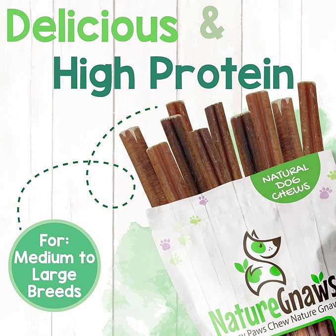 Nature Gnaws Large Bully Sticks for Dogs 5-6" (15 Count) - Thick Long Lasting for Aggressive Chewers and Large Dogs - Natural Beef Dog Chew Bones