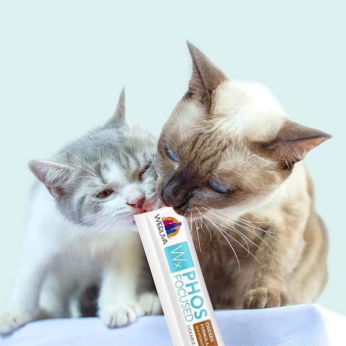 Weruva Wx Phos Focused, Lickable Cat Treat Variety Pack, 0.5oz Tube, Pack of 50