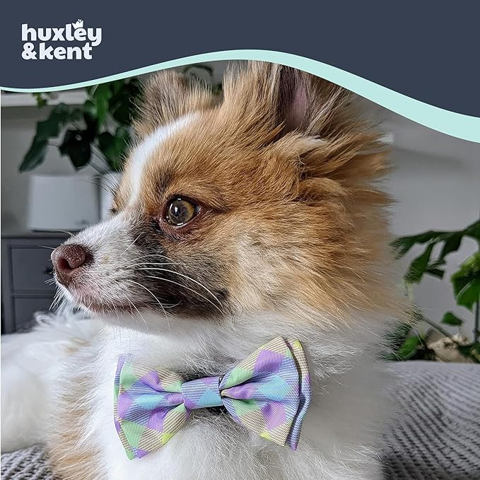 Huxley & Kent Pet Bow Tie for Dogs & Cats - Spring Theme Adjustable Hook & Loop Collar Accessory - Cute & Comfortable for Holidays & Celebrations - Lavender Lemon, Small