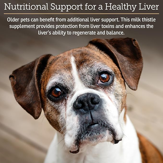 Rx Vitamins Liquid Hepato - Liquid Liver Support Supplement with Milk Thistle Extract - Hepatic Dog Supplement Enriched with Vitamin B Complex - Chicken Flavor (4oz)