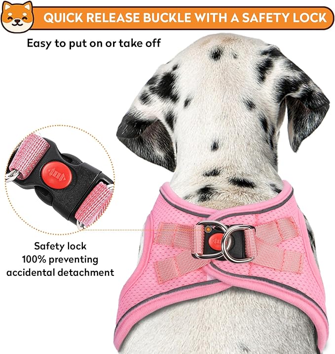 Dog Harness with Leash Set, No-Pull Step-in Reflective Pet Harness with 1 Leash Clips, Adjustable Soft Padded Easy Walk Dog Vest for Small Medium Large Dogs, Cats(Light Pink, XSmall)