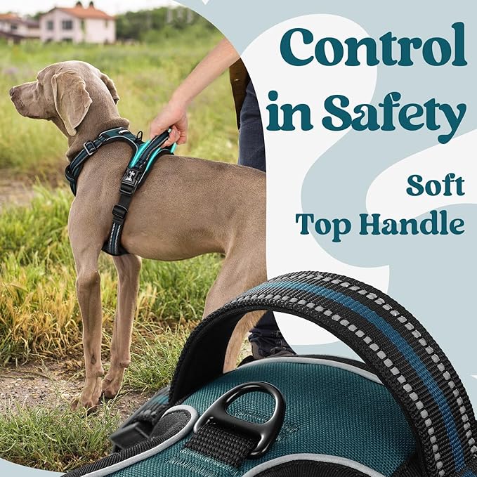 rabbitgoo Dog Harness Small Sized, No Pull Pet Harness with 3 Buckles, Adjustable Soft Padded Vest with Control Handle, Walking Reflective Pet Vest for Small Dogs, Blue Coral, S