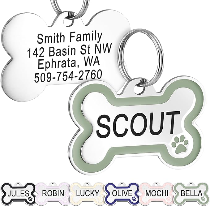 GoTags Stainless Steel Pet ID Bone Round and Heart Shaped Tags with Enamel Paw Design, Personalized Dog and Cat Tags, up to 5 Lines of Custom Text, Engraved on Both Sides (Sage, Small Bone)