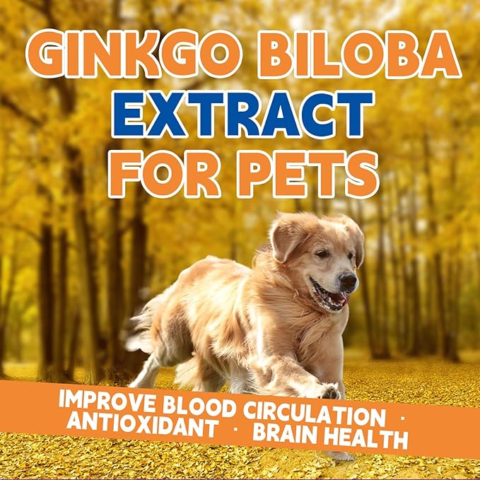 Pet Ginkgo Brain & Heart Support Drops, for Dogs & Cats: Cognitive & Memory Support, Blood Pressure, Cholesterol, Fights Mental Fog, with Curcumin & Lecithin & Multivitamins ﻿