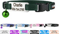 GoTags Personalized Cat Collars with Tag, Engraved Custom Cat Collar with Name and Phone, Breakaway Collar with Safety Buckle and Bell, Adjustable for Cats and Kitten (Hunter Green with Nameplate)