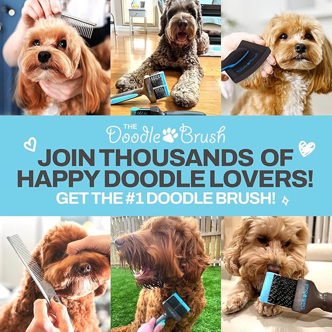 Slicker Brush for Dogs Detangler, Poodle Pin Dematting Dog Hair Brushes, Extra Long Pin Slicker for Goldendoodle, Cockapoo, Cavapoo, Tangle-Free Grooming Shiny Coat Pet Brushes
