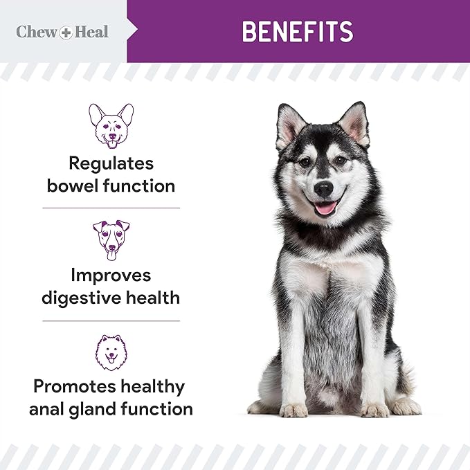 Glands Bowel Support - 5.4 oz of Stop The Scoot Powder for Scooting, Healthy Anal Glands, and Digestive Health - Made with Pumpkin Powder for Dogs