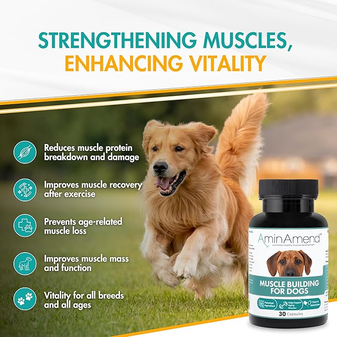 Muscle Support Dog Supplements for Large Breed (21lbs+) with CaHMB & Vitamin D3 – Supports Strength, Mobility & Daily Activity for All Ages & Senior Dog – (30 Capsules)