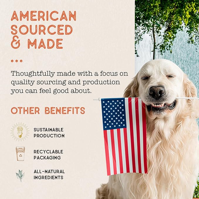Dog Treat Naturals Superfood Sticks, Salmon & Mango, 10oz Bag | Dog Chew Sticks | All-Natural, Pet Training Treats | Joint-Skin-Coat Health | USA Made