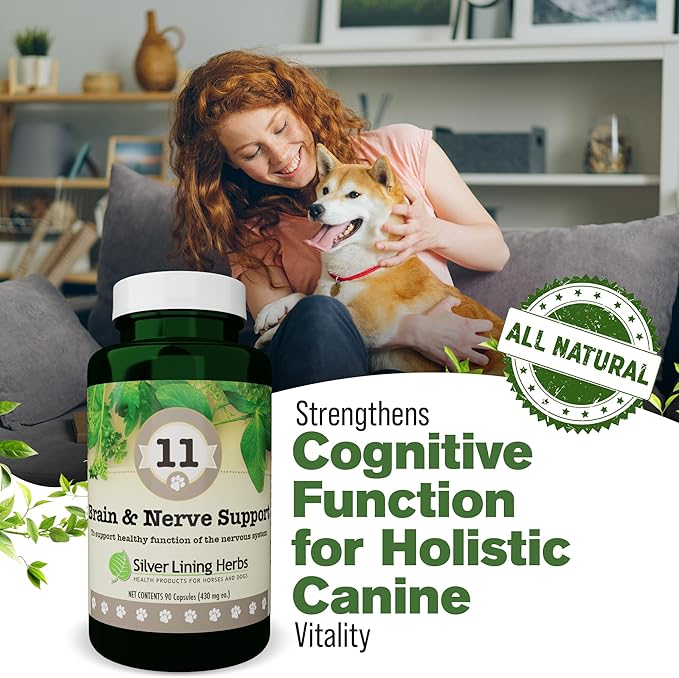 Silver Lining Herbs Brain Health & Dog Nerve Supplements - 11 Canine Herbal Supplement Helps Maintain Central Nervous System, Spinal Cord & Balanced Behavior - 90 Capsules