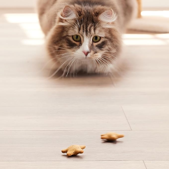 Good ‘n’ Tasty Spinning Stars Cat Treats, 3.2 Ounce Bag, 2-in-1 Treat & Toy Made with Real Chicken, Chicken Liver & Catnip, Encourages Playfulness & Low Calorie, 2 Pack