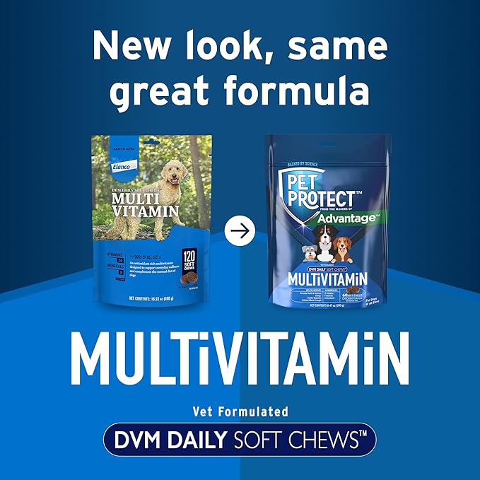 Pet Protect Dog Multivitamin, Vet-Formulated DVM Daily Soft Chews, Supports Ongoing Health & Wellness, Chicken-Flavor (60 Count)