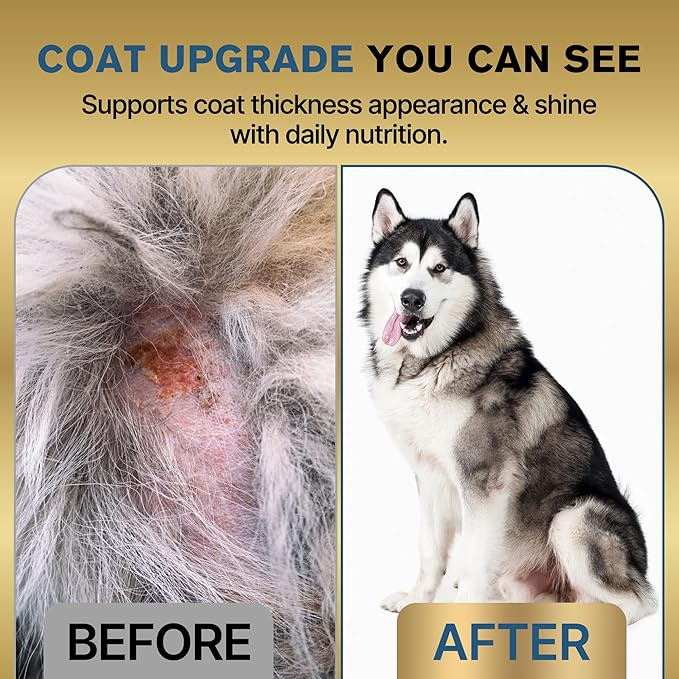 2-in-1 Fur Growth & Shiny Coat Support for Thinning or Patchy Fur – Skin & Coat Supplement for Dogs, Itch Relief with Plant-Based Omega 3, Biotin, Zinc & B-Vitamins, Supports Normal Shedding