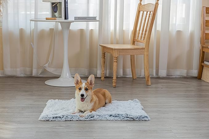 PJYuCien Fluffy Fleece Calming Cat Pet Throw Blanket, Super Soft and Warm for Indoor Cats and Dogs, Machine Washable, Puppy Blanket, Small, Grey, 16" * 24"