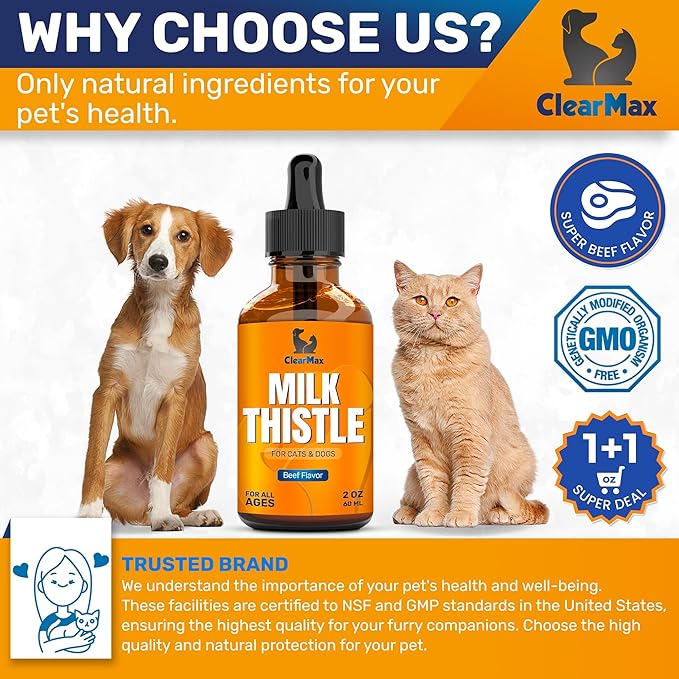 Milk Thistle for Dogs & Puppies – Liquid Supplement for Liver & Kidney Support – Milk Thistle for Cats & Kittens – Effective Digestion Care with Natural Beef Flavor & No Additives – 2 Oz Bottle