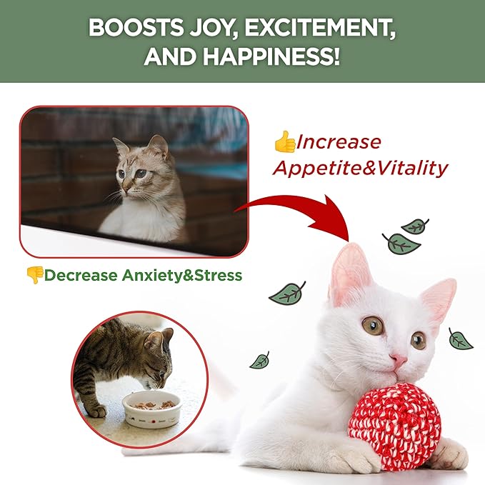 JAYU PET Active Catnip Spray (1 fl.oz) Active Catnip Powder (0.5oz) - Potent Fresh Leaves or Liquid for Entertaining Cats, Reducing Stress & Anxiety, Reviving Old Toys (Spray+Catnip)