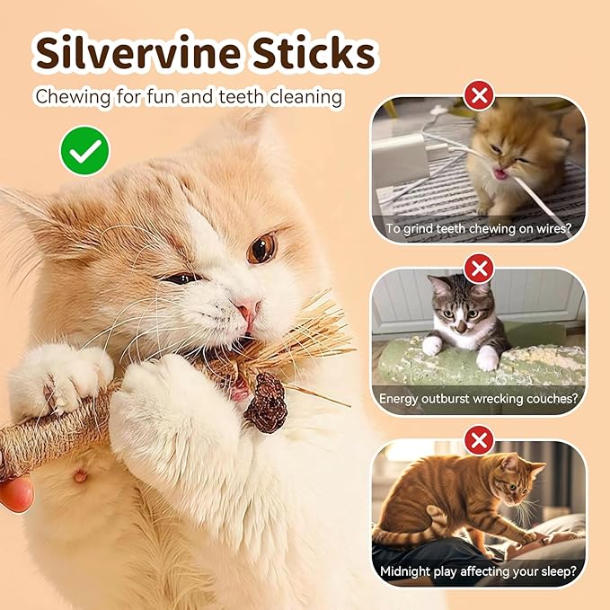Toys for Indoor Cats Silvervine Sticks 3Pcs with Gall Fruit, Cat Chew Ropes 1Pcs, Interactive Catnip Toy for Kittens Dental Care Teeth Cleaning Orange
