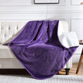 Waterproof Blanket for Bed Couch Sofa, Soft Liquid Pee Proof Pet Blanket for Dog Puppy Cat, Reversible Sherpa Fleece Furniture Protector (Dark Purple, 50x60 inches)