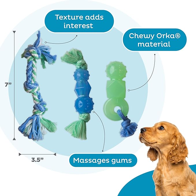 Mini Dentachew Pack Dental Chew Toy, Multi-Textured, Fetch & Tug Rope, Puppies & Small Dogs, 7", 3-Pack