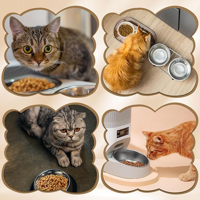 4Pcs Stainless Steel Pet Feeding Bowls, 6.1 Inches Shallow Wide Flat Cat Food Bowls, Puppy and Kitten Feeding Bowls, Whisker Fatigue Relief, Fits Elevated Bowl Stands