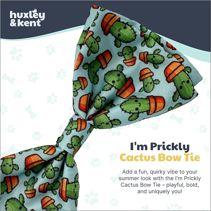 Huxley & Kent Pet Bow Tie for Dogs & Cats - Adjustable Hook & Loop Collar Accessory - Cute & Comfortable for Holidays & Celebrations - I'm Prickly Cactus, Large