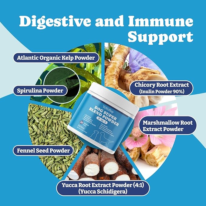 Supplements for Dogs, Dog Supplements Super Blend Powder 9 in 1, Vitamins for Dog, with Iceland Fish Powder, Support Gut Health, Hip and Joint, Multivitamin Support, 6.35oz, Fish Flavor