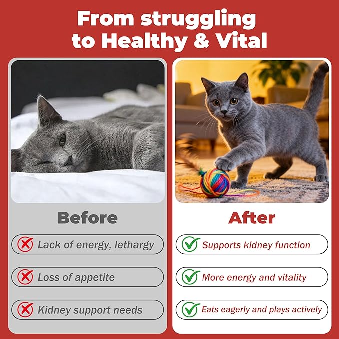Cat Kidney Support Chitosan & L-Lysine – Boosts Kidney Health & Function, Promotes Toxin Removal, Restores Kidney Function, Enhances Vitality – Natural Ingredients for Cats – 30 Tubes