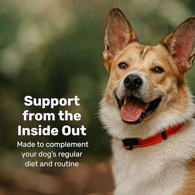 Badlands Ranch Super Skin & Coat Soft Chews for Dogs – Antioxidant-Rich Superfoods with Flaxseed, Salmon Oil, Turmeric & Lion’s Mane Mushroom – 60 Soft Chews