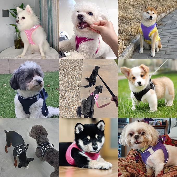 Dog Harness with Leash Set, No-Pull Step-in Reflective Pet Harness with 1 Leash Clips, Adjustable Soft Padded Easy Walk Dog Vest for Small Medium Large Dogs, Cats(Light Purple, XSmall)