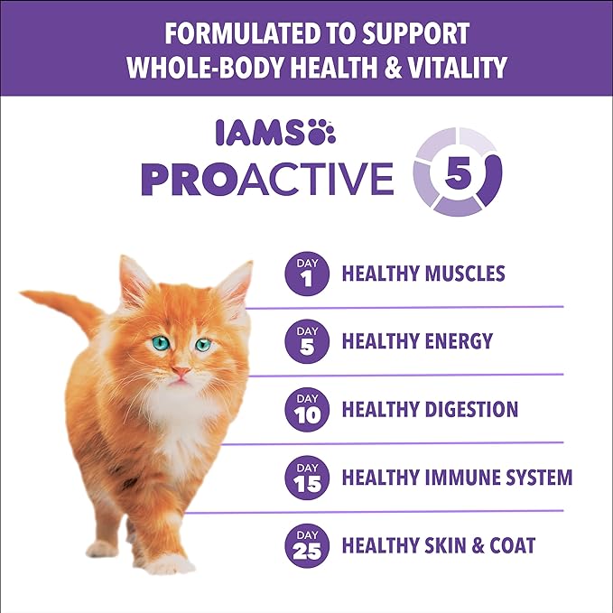 IAMS Proactive Health Healthy Kitten Dry Cat Food Salmon Recipe, 3.5 lb. Bag