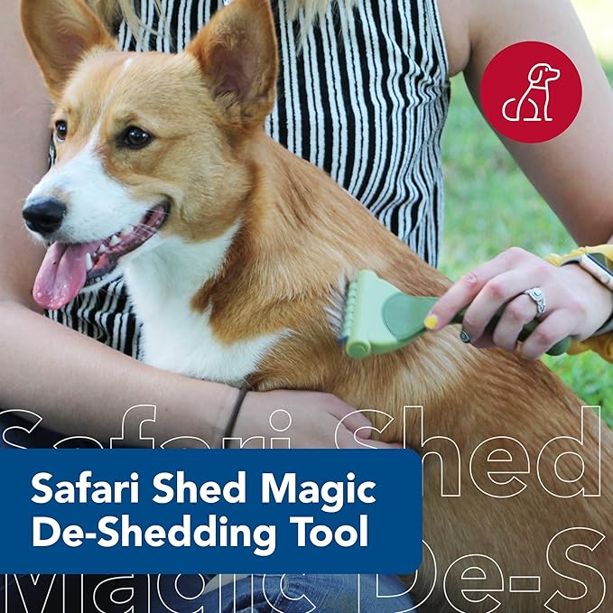 Coastal Pet - Safari - Shed Magic De-Shedding Tool for Dogs with Short to Medium Hair, No Color, Medium (6.25" L x 3.5" W)