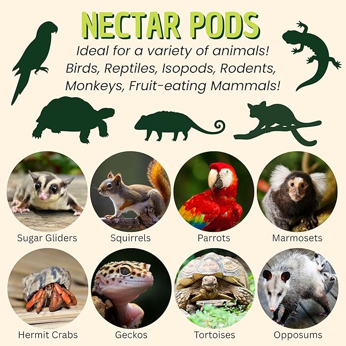 Nectar Pods (Yogurt) - Calcium-Fortified Jelly Fruit Treat - Sugar Gliders, Marmosets, Squirrels, Parrots, Cockatiels, Parakeets, Lovebirds, Conures, Hamsters, Day Geckos, Kinkajous & Other Small Pets