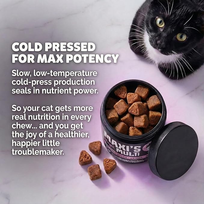Human-Grade Cat Multivitamin | 15-in-1 Cat Vitamins for Indoor Cats + Fish Oil + L-lysine + Lion's Mane | Feline Vitamins and Supplements | 45 Day Supply of Soft Chews