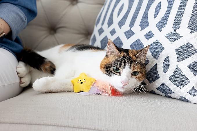 Pearhead Pawstronaut Cat Toy Set, Feather Teaser and Rattle Catnip Toy Set, Must Have Pet Accessories